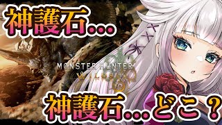 【モンハンワイルズ】星9歴戦周回で神護石きました！！！（事実）【MHWilds】