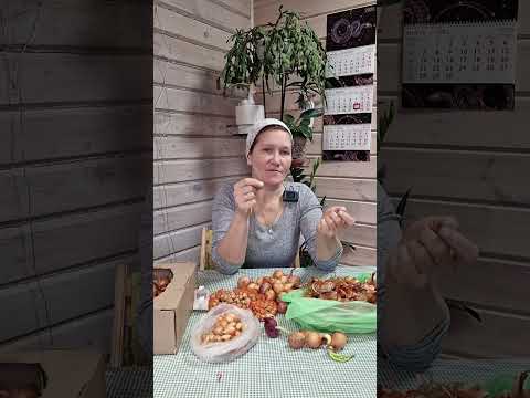 Как похудеть к лету