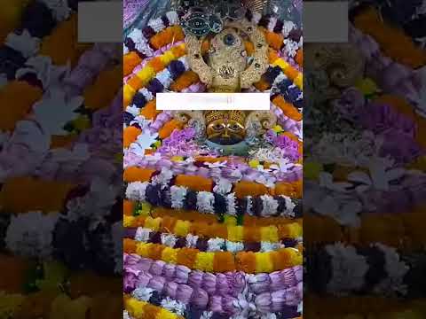 #shyam #khatuwalashyam #live #khatushyamsarkar #shreekhatushyam #vlog #jaishreeshyam