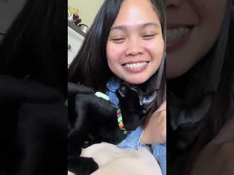 Cuddles, Purrs, and endless Love🧡