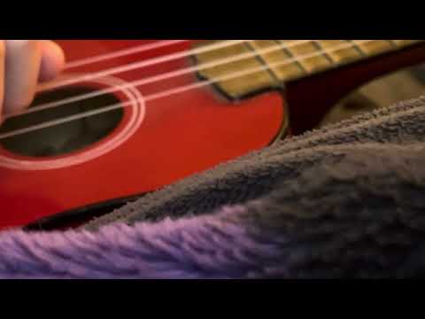 Pink Sheep Apology Part 2 Draft