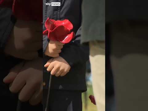 Queen lays poppy at Tower of London