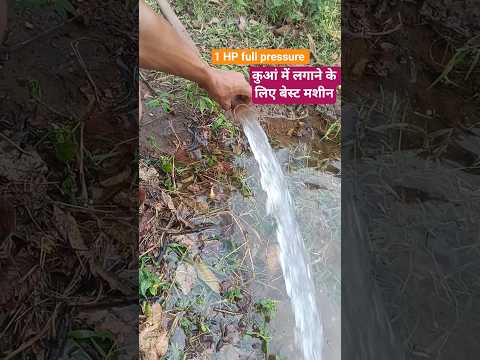 सिंचाई करने के लिए सबसे बढ़िया पंप #openwell #agriculture