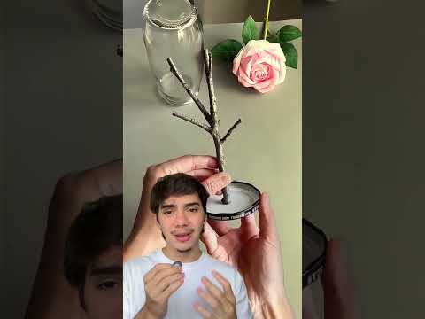 Ideias simples com folhas e galhos que mudam totalmente a decoração.#decoracao #criatividade  #casa