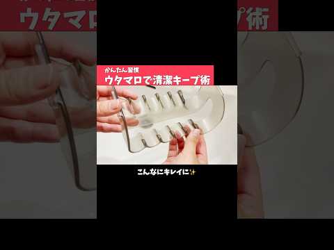 週1で清潔！歯ブラシスタンド掃除術