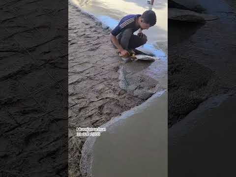 20 октября 2025 г.