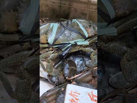 Mud Crab/Benjie Gonzales tv