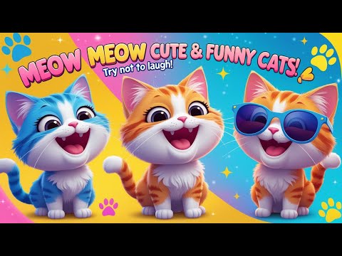 Cute Cats Funny Cats | Meow Meow Moments | Funniest Cat Video Ever!