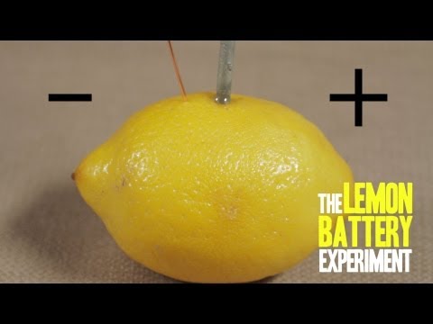 How to Make a Lemon Battery