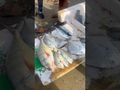 ECR Semanchery Fish Market 🐟 Fresh Kannadi Parai Fish Catch 🎣 #shorts