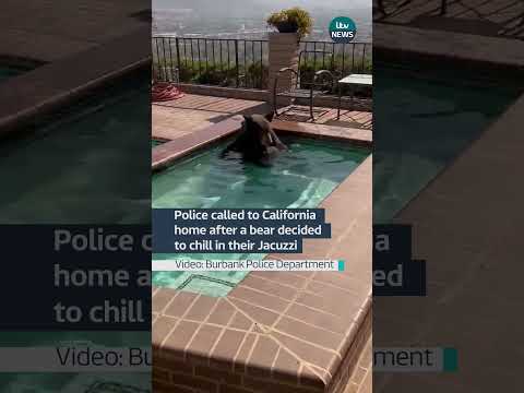 Police called to California home after a bear decided to chill in their Jacuzzi #california #bear