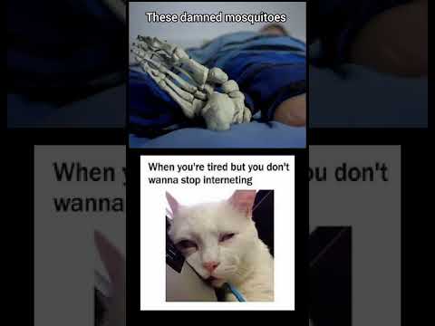 "Who left the windows open?" 😭 #memes #shorts #relatable #views #subscribe #content