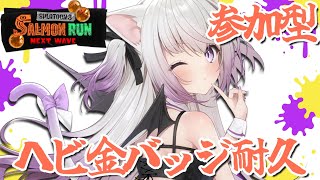 【参加型 #サーモンランNW】ヘビ金バッジ耐久【#Vtuber #猫〆しあ】