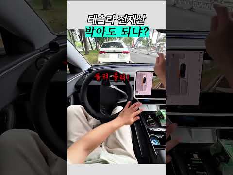 <strong>테슬라</strong> 주차가 재밌는 이유