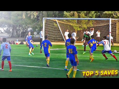 TOP 5 - Best Goalkeeper Saves I WEEK #01 2014 - UCC9h3H-sGrvqd2otknZntsQ