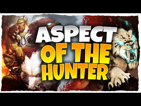 NEW HUNTER PET ADDON   ASPECT OF THE HUNTER! WORLD OF WARCRAFT