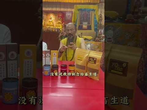 超度先人和宠物有一样吗？家人可以为往生者做什么？#藏傳佛教 #极乐藏香 #南無大慈大悲觀世音菩薩