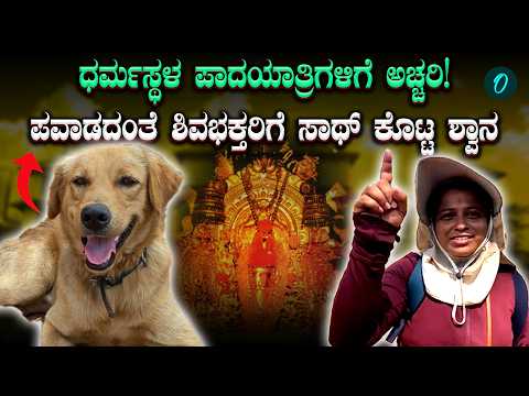 Dharmasthala | Shiva Ratri | ಬೆಂಗಳೂರಿನಿಂದ ಪಾದಯಾತ್ರೆ ಮಾಡುತ್ತ ಬಂದವರ ರಕ್ಷಣೆಗೆ ನಿಂತ ಶ್ವಾನ!