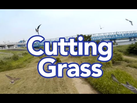 Cutting grass - FPV with ZMR-250 - UCyfFgNaK7j73jAcrtsN7I9g