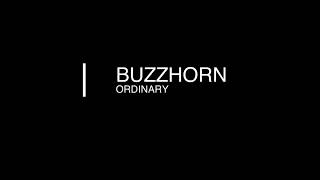 Buzzhorn - Ordinary (NFS: Hot Pursuit 2 OST) [bass cover]
