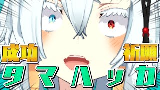 【マネするな】クラファン成功祈願の儀式を行う！【Vtuber】