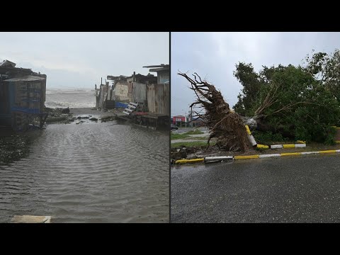 Hurricane Melissa: fallen trees, windy conditions in St. Catherine | AFP