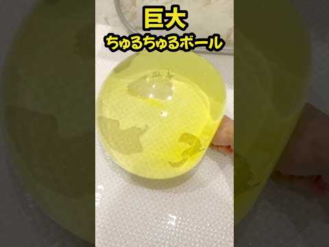 水でふくらませ続けると…