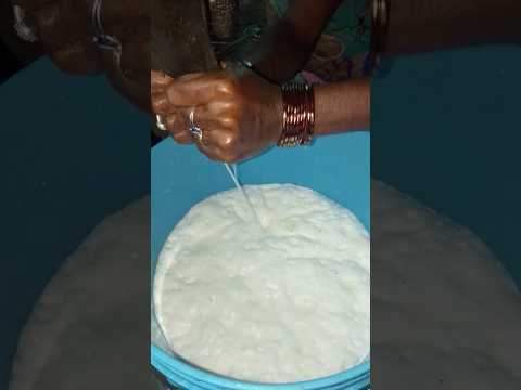 milk 🥛#farming #cowvideos #cowlover #agriculture cow farm house 🏠