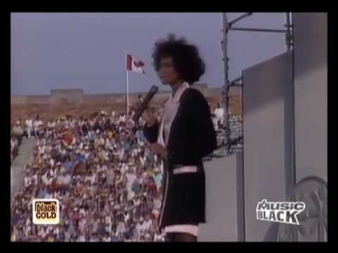 Whitney Houston - Love Will Save The Day