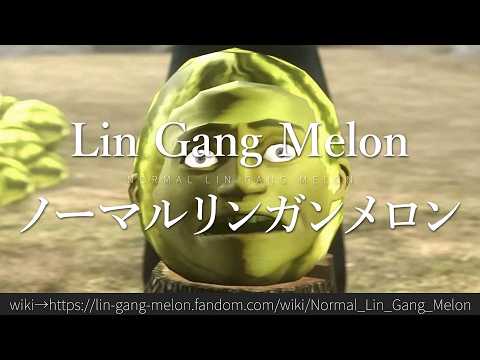 30秒でわかるLin Gang Melon「ノーマルリンガンメロン」