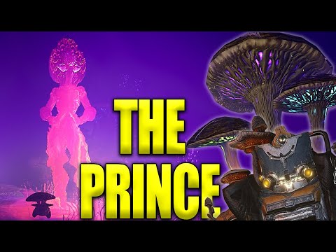 Nokko Nightcap The Prince Lore For The Vallis Undermind! Warframe