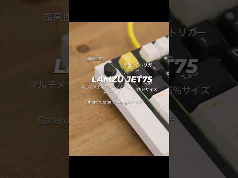 Lamzuのラピトリキーボードよすぎるわ... #キーボード #ラピッドトリガー