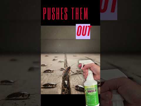 Seeing More Bugs That’s Progress!