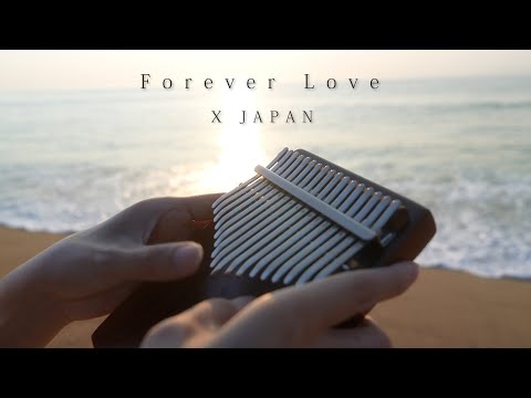 Forever Love  / X JAPAN カリンバで弾いてみた