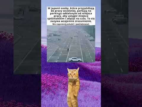 Tego możesz nauczyć się od Japończyków! #shorts #memes #śmieszne #funny