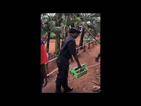 Introducing the Head Mounted Computer HCM to Uganda