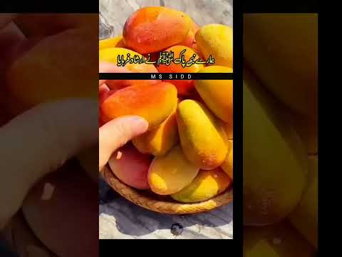 Ek Sahabi Nay Nabi Pak ﷺ Ki Khidmat Mein Arz Ki Ya Rasool Allah Main Apne Bacche Ka Naam Kya Rakhu