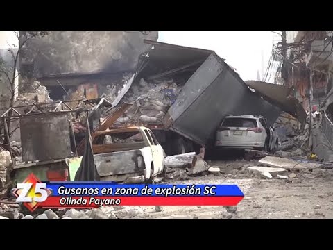 Gusanos en zona de explosión San Cristobal | Zona 5