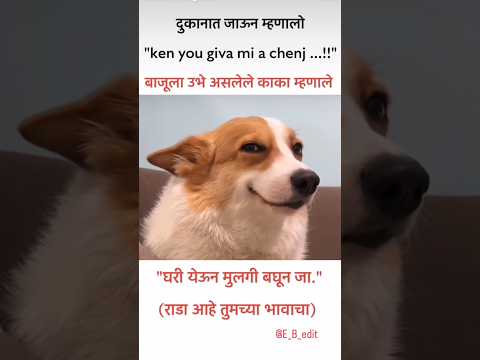काका म्हणाले..!! #funny #bappa #funnyanimals #comedy #konkancomedy #funnycatanddog #memes #jokes