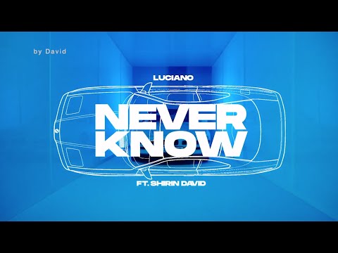 Luciano - Never Know (OHNE Shirin David)