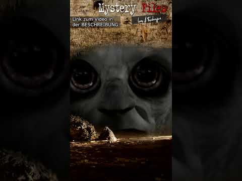 Unterirdische Wesen | Mystery-Jäger suchten und fanden fremde Wesen in Blankenese