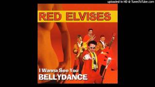 Red Elvises - 09 - Sad Cowboy Song