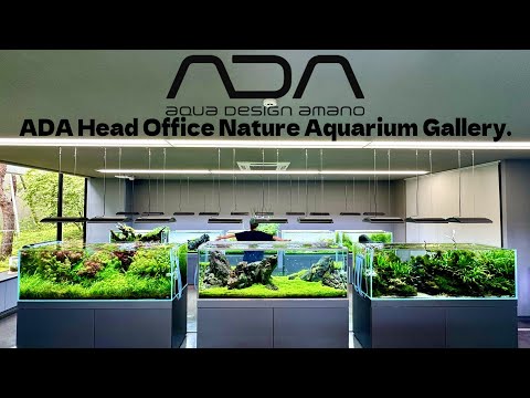 【Aquarium】ADA Head Office Nature Aquarium Gallery(ADA本社のネイチャーアクアリウムギャラリーが凄すぎる！全アクアリストに見て欲しい！完全保存版）