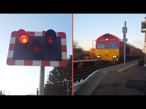Rare HALOGEN LIGHTS at Manea Level Crossing [Cambs, 29/12/22]