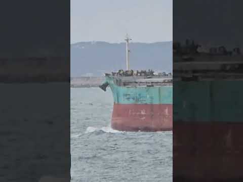 Mipo's daily life - 105