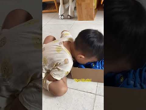 Tôi mỗi khi nhận quà là kiểu| Tiger 23m16d