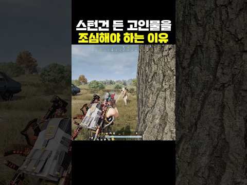스턴건 든 고인물을 조심해야 하는 이유