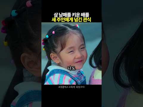 삼남매를 키운 배를 새주인에게 넘긴 관식 #폭싹속았수다
