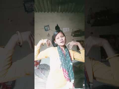 लाल सरिया पहने लो राजा l #song #trendingshorts #shortvideo #viralvideo #youtubeshorts