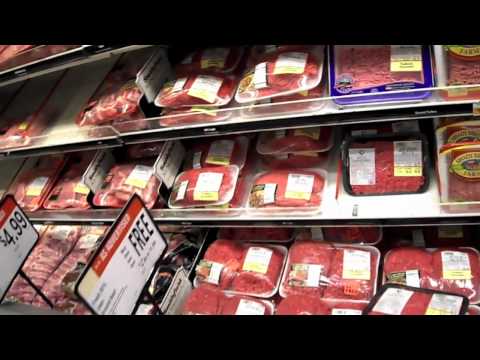 Bodybuilding Food Shopping - UCHZ8lkKBNf3lKxpSIVUcmsg